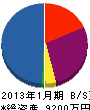 片山土木工業 貸借対照表 2013年1月期