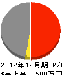 若井組 損益計算書 2012年12月期
