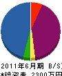 横山建設工業 貸借対照表 2011年6月期