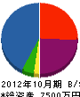 手塚興業 貸借対照表 2012年10月期