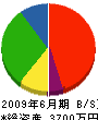 葉山泉山園 貸借対照表 2009年6月期