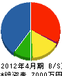 毛塚電気工事 貸借対照表 2012年4月期