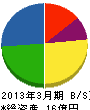 サマンサジャパン 貸借対照表 2013年3月期