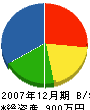 田村庭苑 貸借対照表 2007年12月期