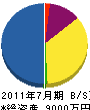 佐藤電気商会 貸借対照表 2011年7月期