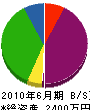 富士制電 貸借対照表 2010年6月期