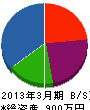 トヤマ 貸借対照表 2013年3月期