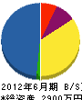 横山建材店 貸借対照表 2012年6月期