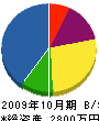 上田電気商会 貸借対照表 2009年10月期