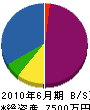 藤盛興業所 貸借対照表 2010年6月期