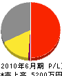 長崎ニチボー 損益計算書 2010年6月期