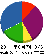 枝光建設 貸借対照表 2011年6月期