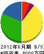 昭成工業 貸借対照表 2012年6月期