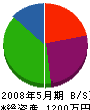 早坂電気工業 貸借対照表 2008年5月期
