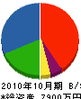 渡辺工務店 貸借対照表 2010年10月期