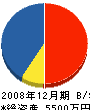 湘南グローバルソリューション 貸借対照表 2008年12月期