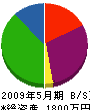 桜井建設工業 貸借対照表 2009年5月期