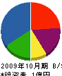 桂信システム 貸借対照表 2009年10月期