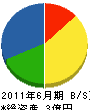 柳沢工務店 貸借対照表 2011年6月期