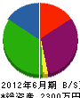 枝光建設 貸借対照表 2012年6月期