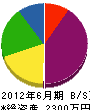 大江組 貸借対照表 2012年6月期