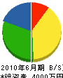 昭成工業 貸借対照表 2010年6月期