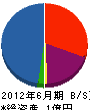 沖縄エンジニヤ 貸借対照表 2012年6月期