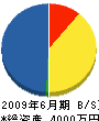 井崎石材 貸借対照表 2009年6月期