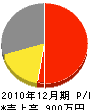 藤原商会 損益計算書 2010年12月期