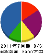 藤井設備 貸借対照表 2011年7月期