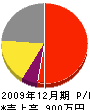 寺川塗装店 損益計算書 2009年12月期