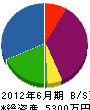 長崎緑樹センター 貸借対照表 2012年6月期