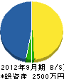 阪神テクノサービス 貸借対照表 2012年9月期