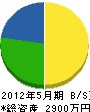 手川工務店 貸借対照表 2012年5月期