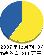 平嶺電気工事 貸借対照表 2007年12月期