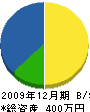 齋藤建築 貸借対照表 2009年12月期