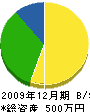 島津建築事務所 貸借対照表 2009年12月期
