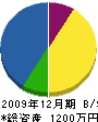 佐藤造園 貸借対照表 2009年12月期