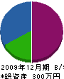 佐々木建設 貸借対照表 2009年12月期