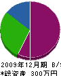 緑生 貸借対照表 2009年12月期
