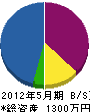 園田電気商会 貸借対照表 2012年5月期