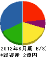日新電工 貸借対照表 2012年6月期