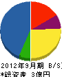 新東京防災 貸借対照表 2012年9月期