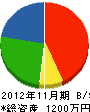 井原電気商会 貸借対照表 2012年11月期