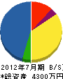 藤田産業 貸借対照表 2012年7月期