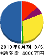 山晃電気 貸借対照表 2010年6月期