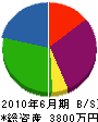 岩田工業 貸借対照表 2010年6月期