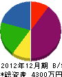 坂本産業建設 貸借対照表 2012年12月期
