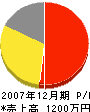 鈴木塗装工業 損益計算書 2007年12月期