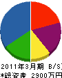 井元電気商会 貸借対照表 2011年3月期